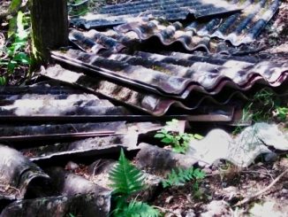 Giftige Eternitplatten im Gemeindewald entsorgt
